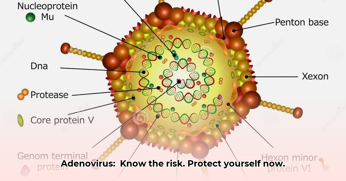 adeno-virus-meaning